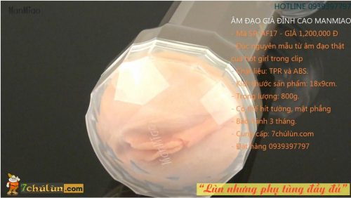 Am Dao Gia Cao Cap Fleshlight Manmiao Gold Sextoy Thu Dam For Men with real color