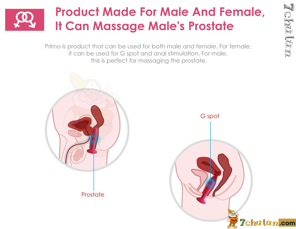 Svakom Primo vibrating egg with 25 vibration modes, supporting hot foreplay Central love massage G spot Svakom Primo