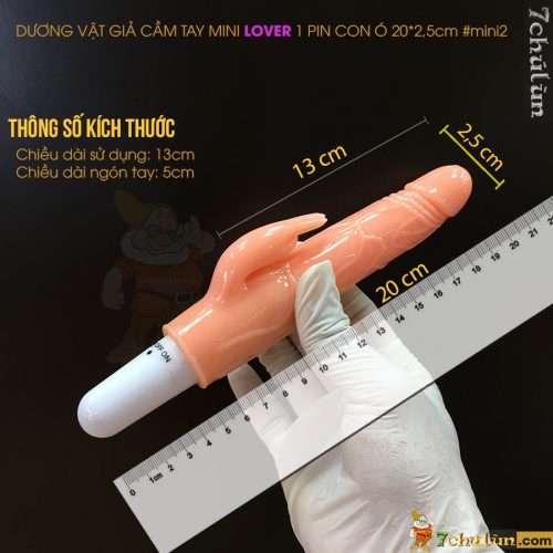 Duong Vat Gia Mini Gia Re Lover Thong So Kich Thuoc