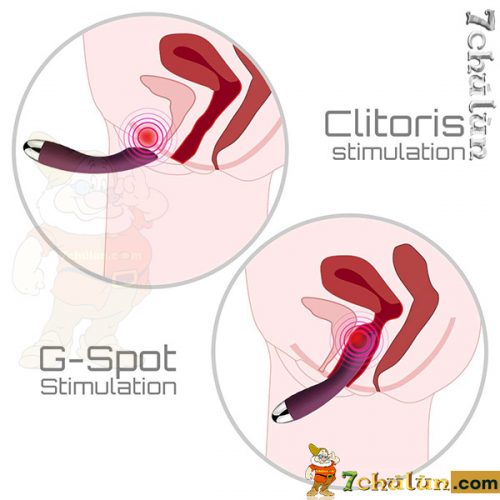 Svakom LISA sex toy works strongly, vibrates smoothly