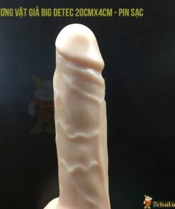 Duong Vat Gia Dan Tuong Dieu Khien Tu Xa Big Detec