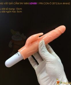 Duong Vat Gia Mini Gia Re Lover De dang dieu khien