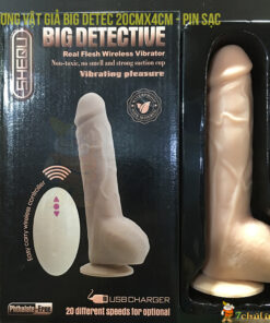 Duong Vat Gia Dan Tuong Dieu Khien Tu Xa Big Detec