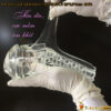 Am Dao Gia Fleshlight Trong Suot Nguy Trang Den Pin gon nhe, mem, om khit duong vat