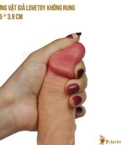 Duong vat gia gan tuong lovetoy khong rung