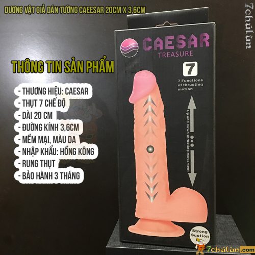 Duong CAESAR high-quality vat product information