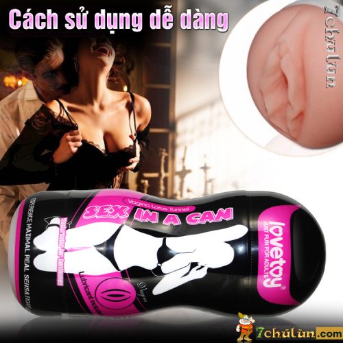 Am Dao Gia Coc Lovetoy Vagina How to use it for men to play sex