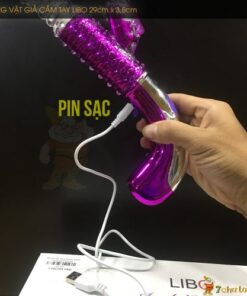 Duong vat gia cao cap thut toi thut lui libo pin sạc