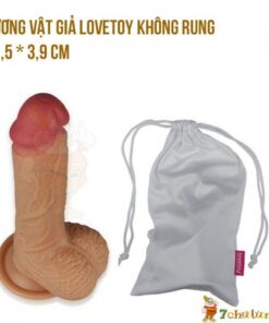 Duong vat gia gan tuong lovetoy khong rung