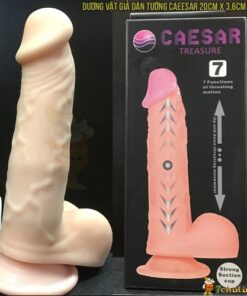 Duong vat gia hit tuong cao cap CAESAR dong goi quy cach dep