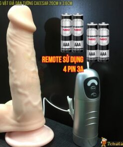 Duong vat gia hit tuong cao cap CAESAR remote su dung 4 pin 3a