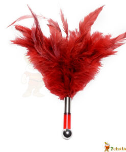 TANTRA feather sadist toy stimulates from anus to vagina #BD15