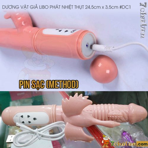 Duong Vat Gia Cao Cap Libo Thut, Toa Nhiet battery pack for capsules luong manh me
