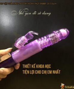 Duong Vat Gia Rung Ngoay Xoay Thut Rabbit de dang cam tay tu suong
