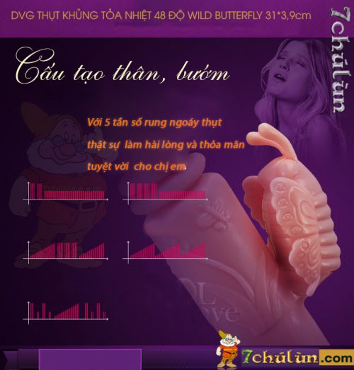 Duong Vat Gia Toa Nhiet 48 Do Thut Frame Wild Butterfly causes sadness, boom