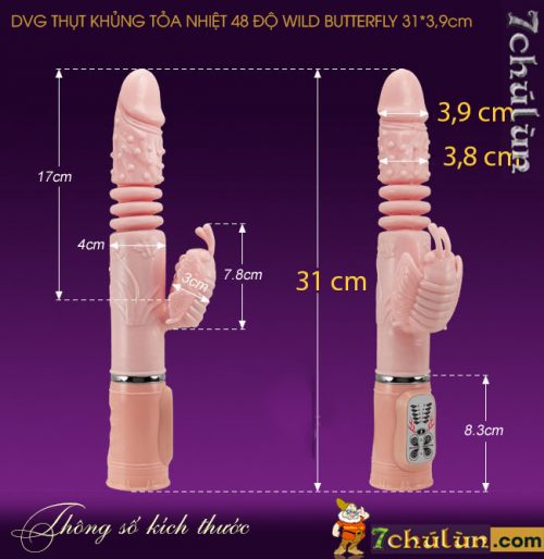 Duong Vat Gia Toa Nhiet 48 Due to Thut Wild Butterfly Frame size information