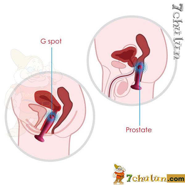 Paddy Svakom anal vibrator for both anus and vagina